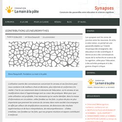 [Contribution] Les neuromythes