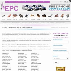 Pest Control and Removal North London - Get a Free Quote