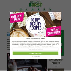 Choc Chunk Maca Cookies By Panacea’s Pantry – Organic Burst®