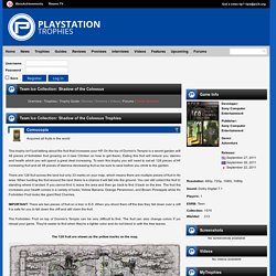 Cornucopia Trophy - Team Ico Collection: Shadow of the Colossus