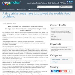 A tiny cricket may have just solved the world’s food problem.