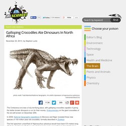 Galloping Crocodiles Ate Dinosaurs In North Africa