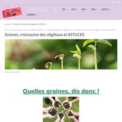 Graines, croissance des végétaux et ASTUCES – Gomme & Gribouillages