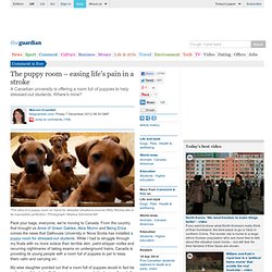 The puppy room – easing life's pain in a stroke