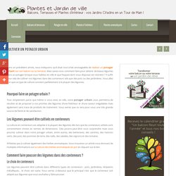 Cultiver un potager urbain