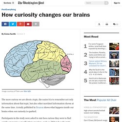 How curiosity changes our brains