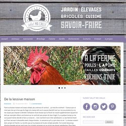 De la lessive maison