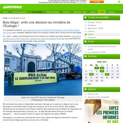 Bois illégal : enfin une décision du ministère de l’Écologie !