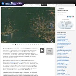 World of Change: Amazon Deforestation : Feature Articles