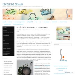 Des élèves-chercheurs et des fourmis