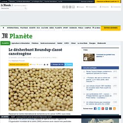 Le désherbant Roundup classé cancérogène