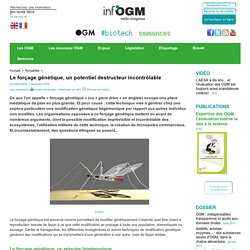 Le forçage génétique, un potentiel destructeur incontrôlable