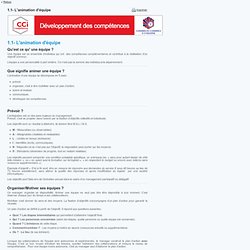 1.1- L'animation d'équipe