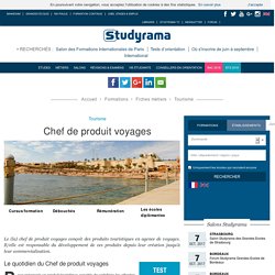 Chef de produit voyages