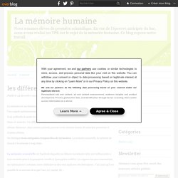 les différents types de mémoire - La mémoire humaine
