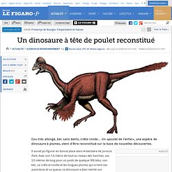 Un dinosaure à tête de poulet reconstitué