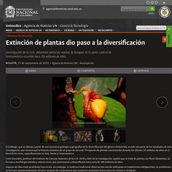 Extinción de plantas dio paso a la diversificación - UNIMEDIOS: Universidad Nacional de Colombia