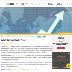 What Drives Bitcoin Price?