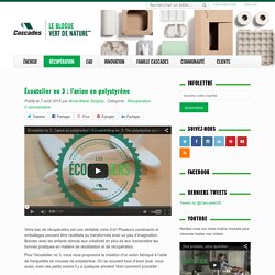 Écoatelier no 3 : l’avion en polystyrène