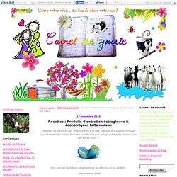 Recettes : Produits d'entretien écologiques & économiques faits maison - Carnet de yourte
