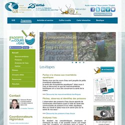 Groupe d'éducation et d'écosurveillance de l'eau - Programmes - J'adopte un cours d'eau - Accueil
