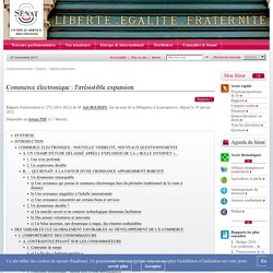 Commerce électronique : l'irrésistible expansion