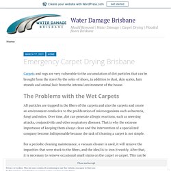 Emergency Carpet Drying Brisbane – Water Damage Brisbane