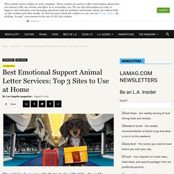 Best Emotional Support Animal Letter Services: Top 3 Sites to Use at Home Los Angeles Magazine