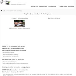 La structure de l'entreprise - COURS e-learning BTS Management 2sd année.