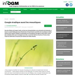 Google éradique aussi les moustiques - Inf'OGM - Veille citoyenne sur les OGM