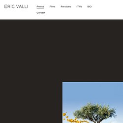 Honey Hunters : Eric Valli