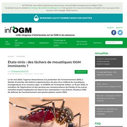 États-Unis : des lâchers de moustiques OGM imminents ? version PDF par Christophe NOISETTE Date de rédaction / mise à jour : 17 juin 2020