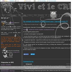 Un exemple de dossier professionnel pour l'épreuve orale n°1