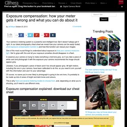 Exposure compensation: how your meter gets it wrong and what you can do about it