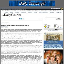 Column: Delay means extinction for wolves - The Prescott Daily Courier - Prescott, Arizona
