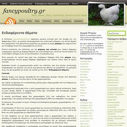 Ενδιαφέροντα Θέματα