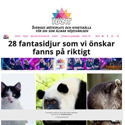 28 fantasidjur som vi önskar fanns på riktigt