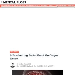 9 Fascinating Facts About the Vagus Nerve