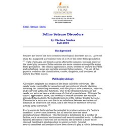 Feline Seizure Disorders