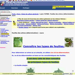 Feuilles des arbres (détermination)-Quiz