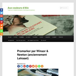 Le feutre à alcool Promarker