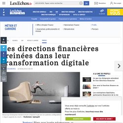 Les directions financières freinées dans leur transformation digitale, Profils