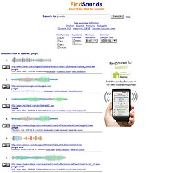 Search Results