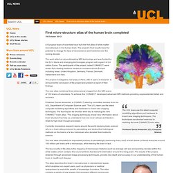 First micro-structure atlas of the human brain completed