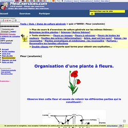 Fleur (anatomie)-Quiz