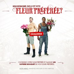 fleurs habitat gens sorties mode gastronomie