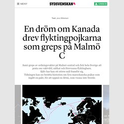 En dröm om Kanada drev flyktingpojkarna som greps på Malmö C