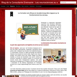 Blog de la Consultante Enervante : Les neurosciences au service des entreprises humanistes: La formation est efficace et durable lorsqu’elle s'appuie sur le fonctionnement du cerveau