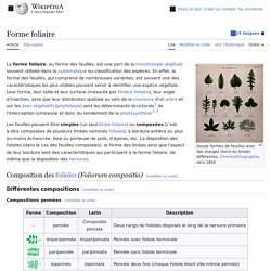 Forme foliaire