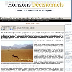 De la Start-up à la gazelle : quelles stratégies de pilotage ?
